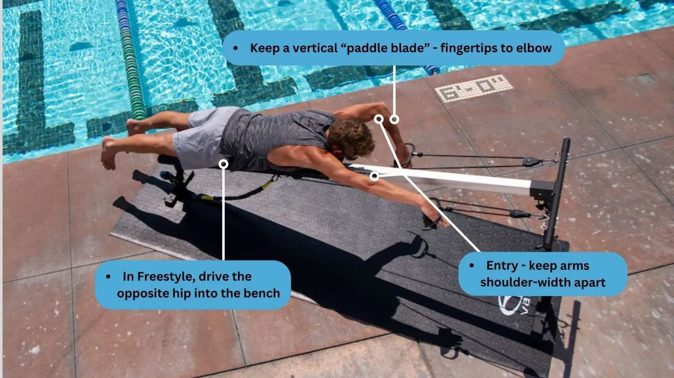 Instructional image that shows a swimmer using the trainer with these tips: Keep a vertical "paddle blade" - fingertips to elbow, In Freestyle, drive the opposite hip into the bench, Entry - keep arms shoulder-width apart.
